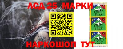 apvp Новодвинск