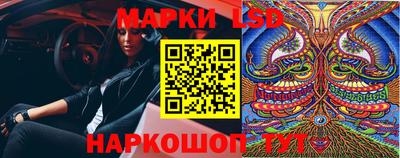 apvp Новодвинск